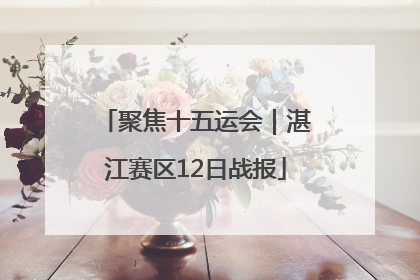 聚焦十五运会｜湛江赛区12日战报